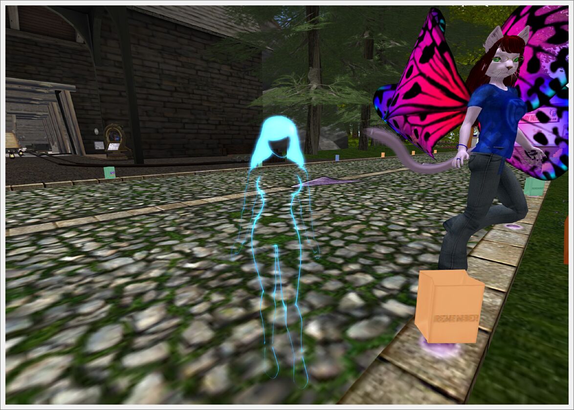 Relay For Life 2013  (32)